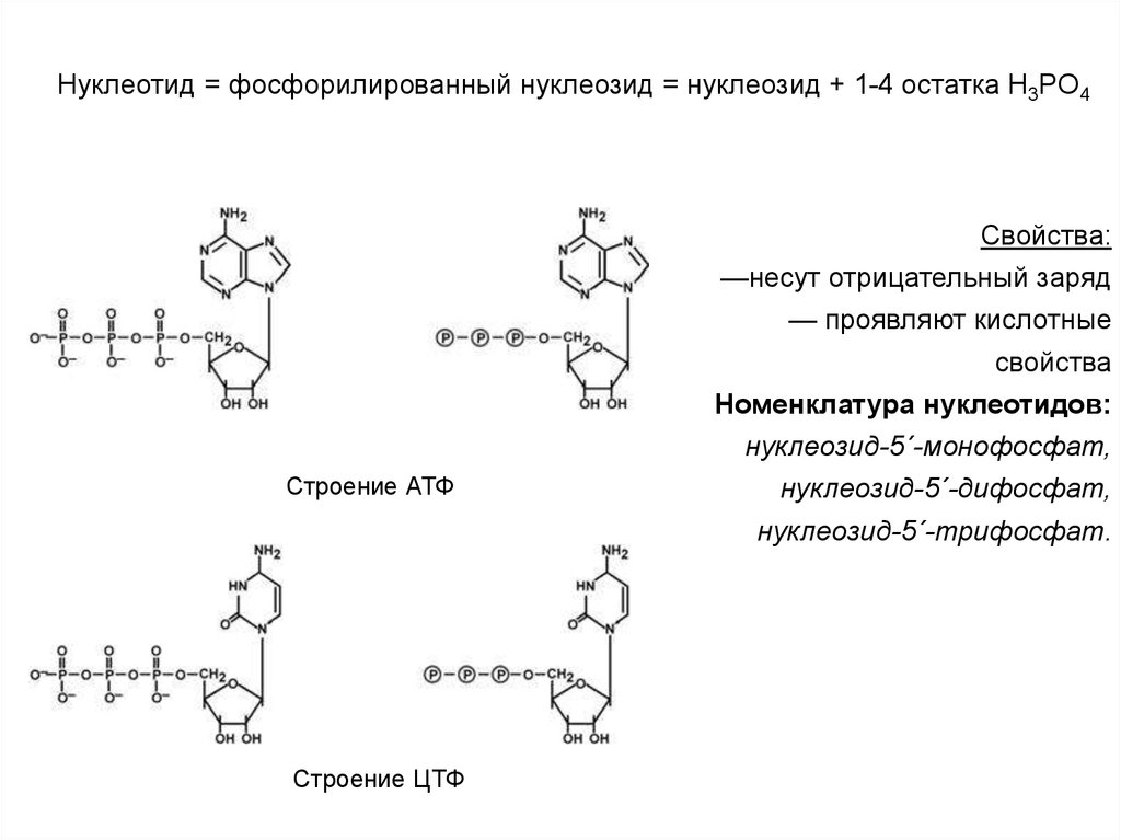 Цтф