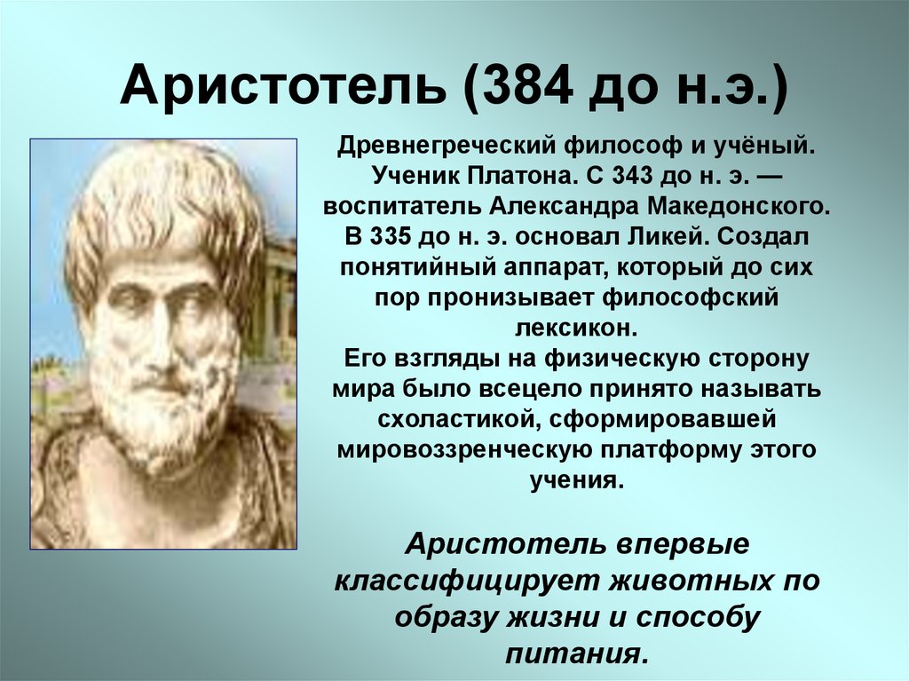 Аристотель (384 до н.э.)