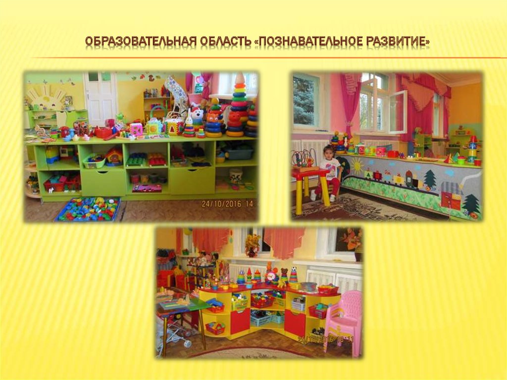 Образовательная область «Познавательное развитие»