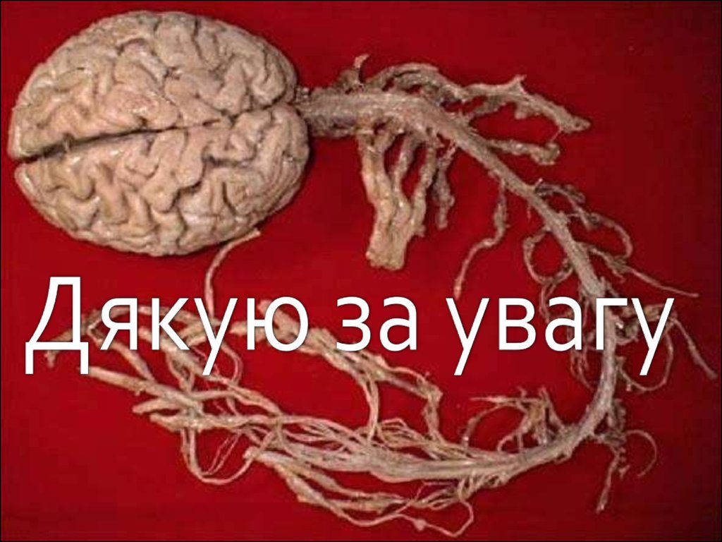 Дякую за увагу