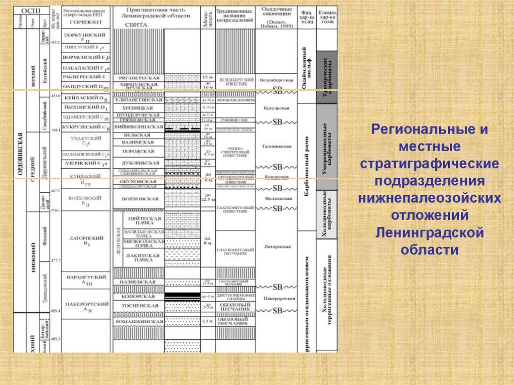 Схема стратиграфии четвертичных отложений