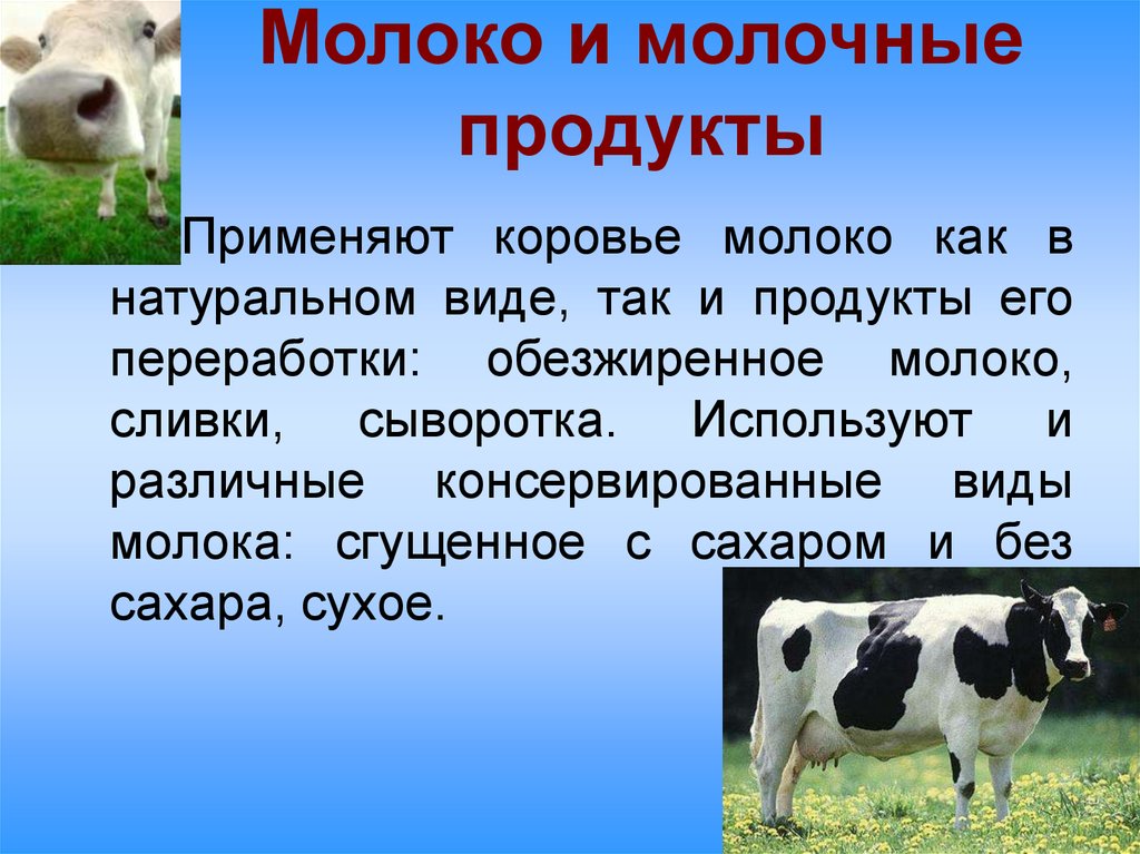 Корова доклад 3 класс окружающий мир. Презентация на тему молочные продукты. Презентация молочных продуктов. Презентация молочной продукции. Молоко и молочные продукты презентация.