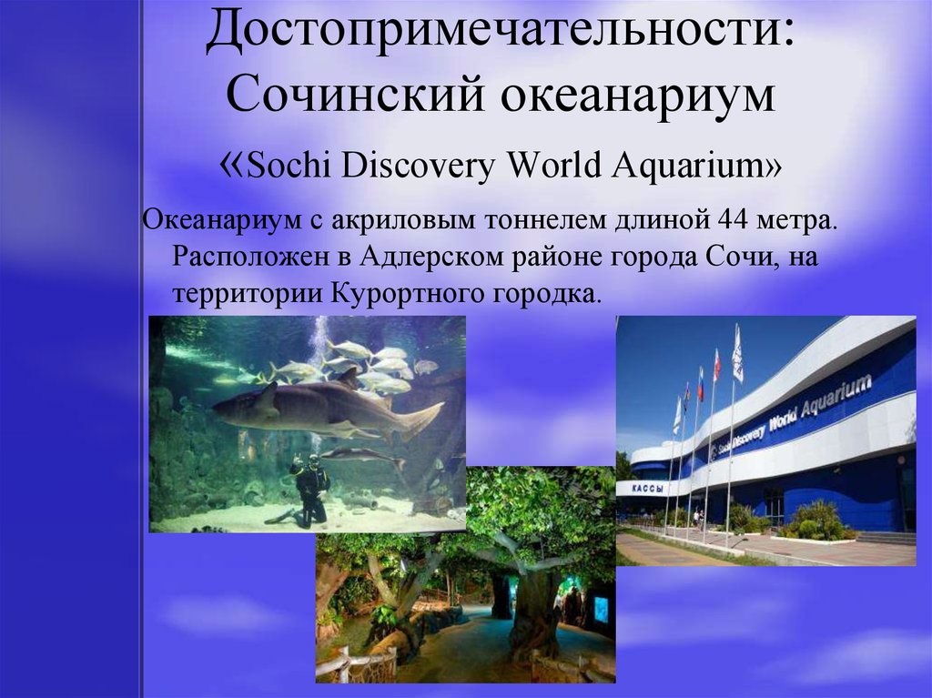 Достопримечательности: Сочинский океанариум «Sochi Discovery World Aquarium»