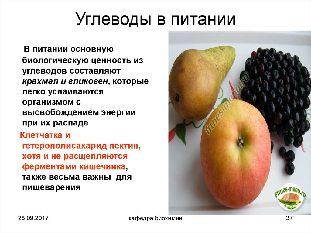 Презентация по теме углеводы