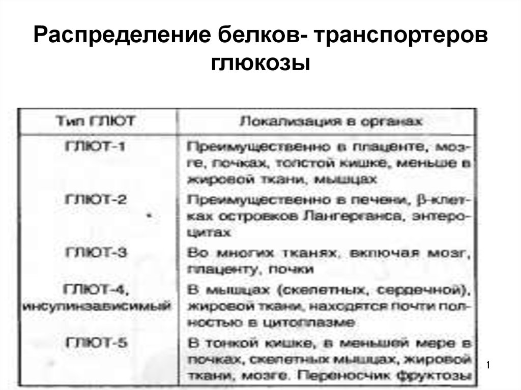 Распределение белков. Транспортеры Глюкозы. Глют транспортеры. Распределение белков-Транспортёров Глюкозы (глют). Характеристика белков транспортеров Глюкозы глют.