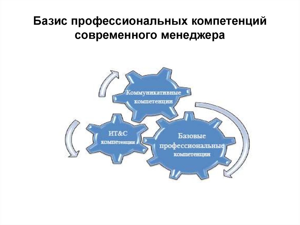 Профессиональная оценка организации. Профессиональная компетентность менеджера. Компетенции современного менеджера. Профессиональные компетенции современного менеджера. Базисные знания профессиональных компетенций менеджера.