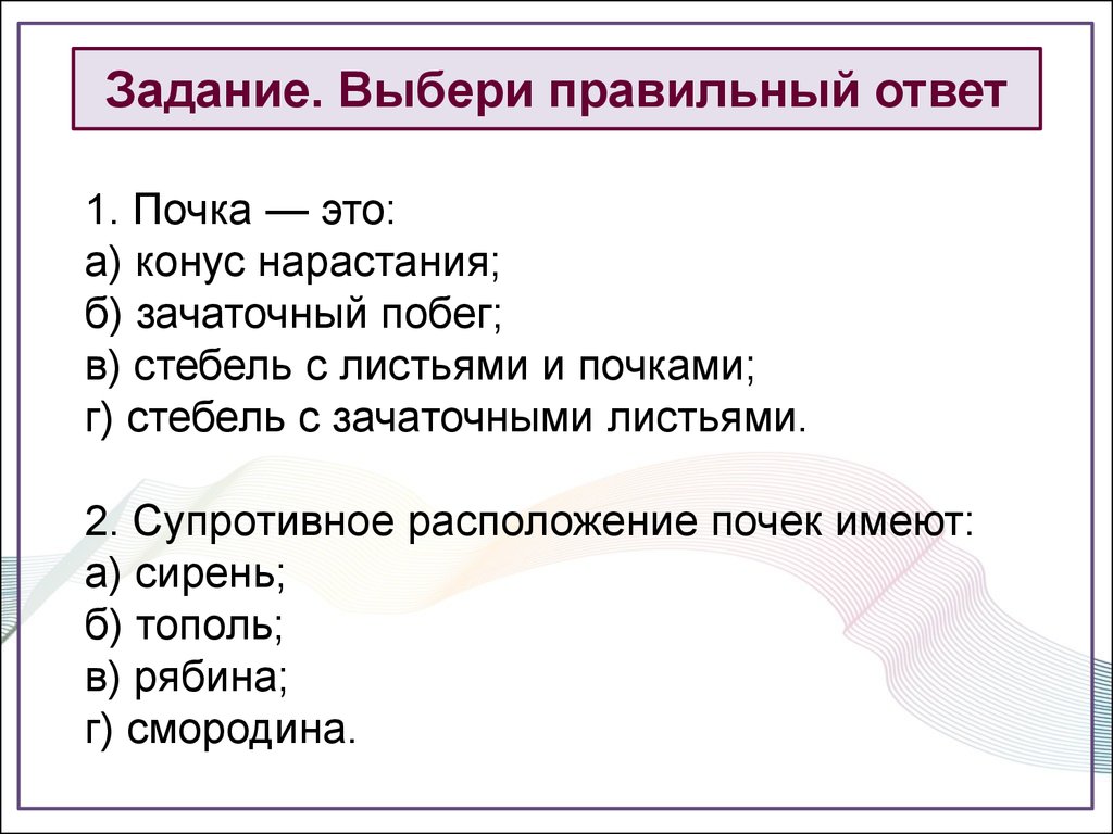 Ответы побег с работы. Конус нарастания почки. Почки расположены 1 правильный ответ. Почки расположены 1 правильный ответ на уровне. Выберите правильное расположение почки.