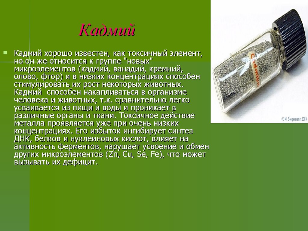 Кадмий токсичность. Кадмий. Кадмий металл. Кадмий как химический элемент. Кадмий картинки.