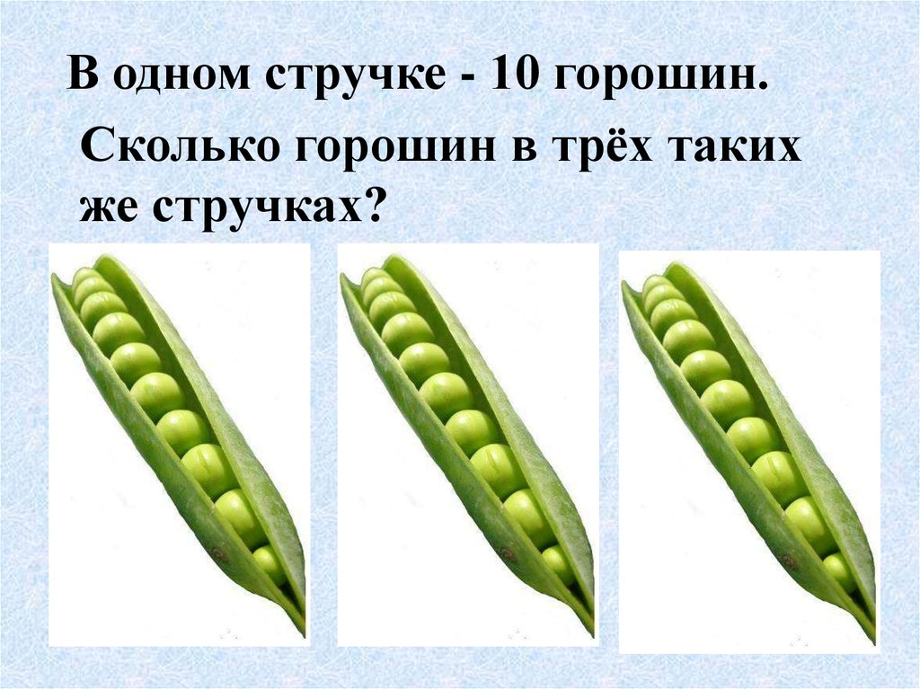 Горох 1 класс. Горошины в стручке. Сколько горошин в стручке. В стручке 10 горошин. Горох один стручок.