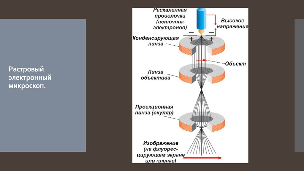 Схема электронного микроскопа