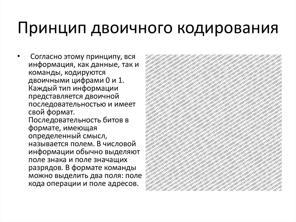 Согласно принципу двоичного кодирования