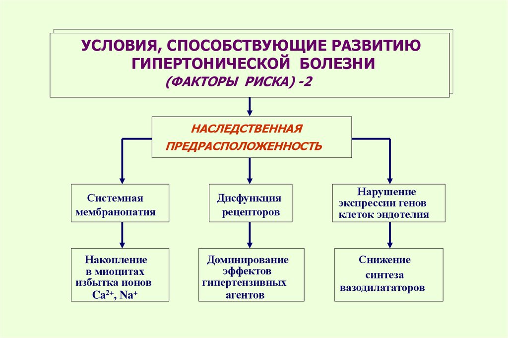 Патанатомия гипертоническая болезнь презентация