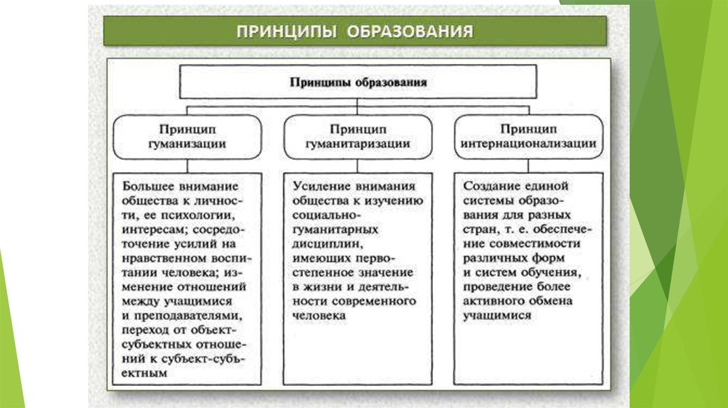 Функции общего образования. Принципы современного российского образования. Современные принципы современного образования. Принципы функционирования образования. Принципы образования в РФ С пояснением.