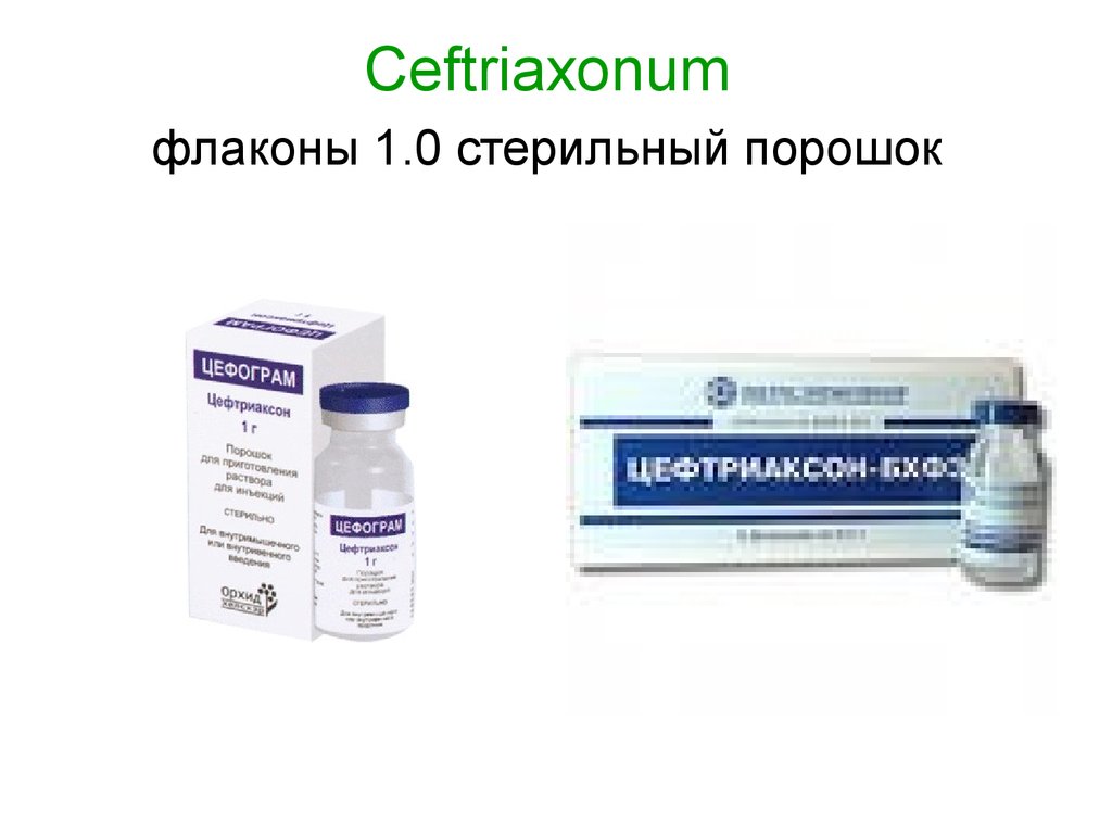 Ceftriaxonum флаконы 1.0 стерильный порошок