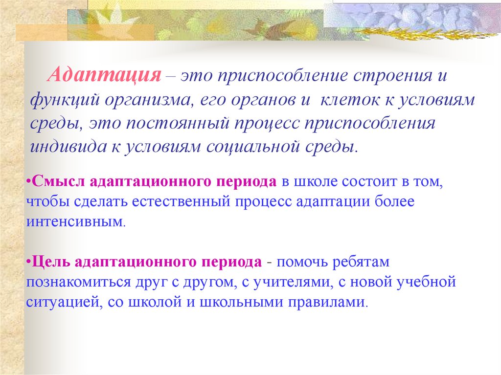 Что помогло в период адаптации. Адаптационный период в 5 классе. Приспособление адаптация. Адаптация – это процесс активного приспособления. Школьная адаптация.