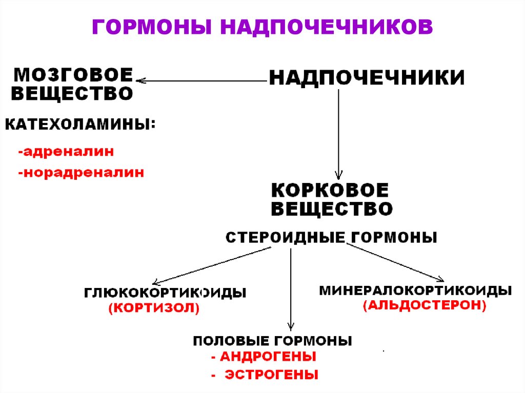 Эффекты гормонов надпочечников