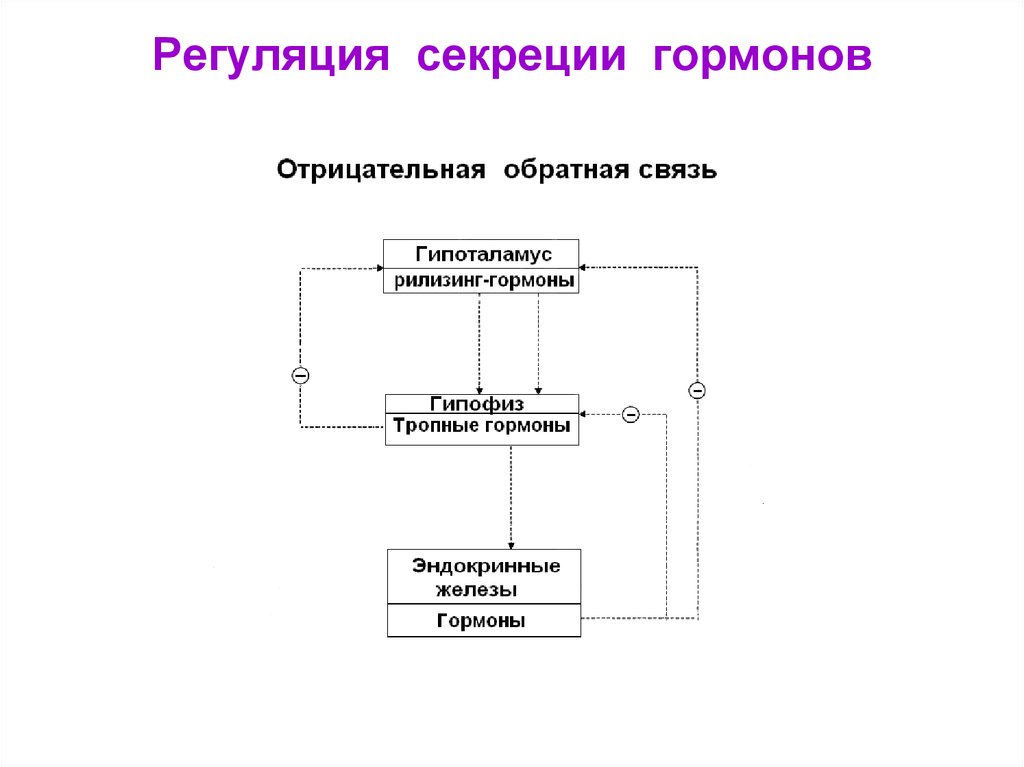 Схема механизма обратной связи