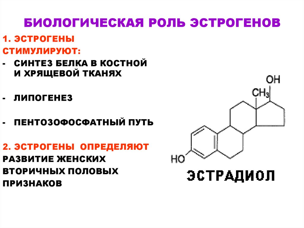 Эстрадиол это эстроген