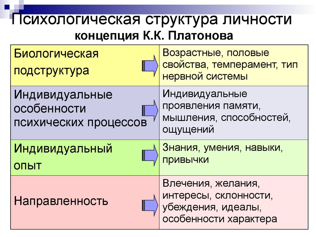 Психологическая структура личности концепция К.К. Платонова