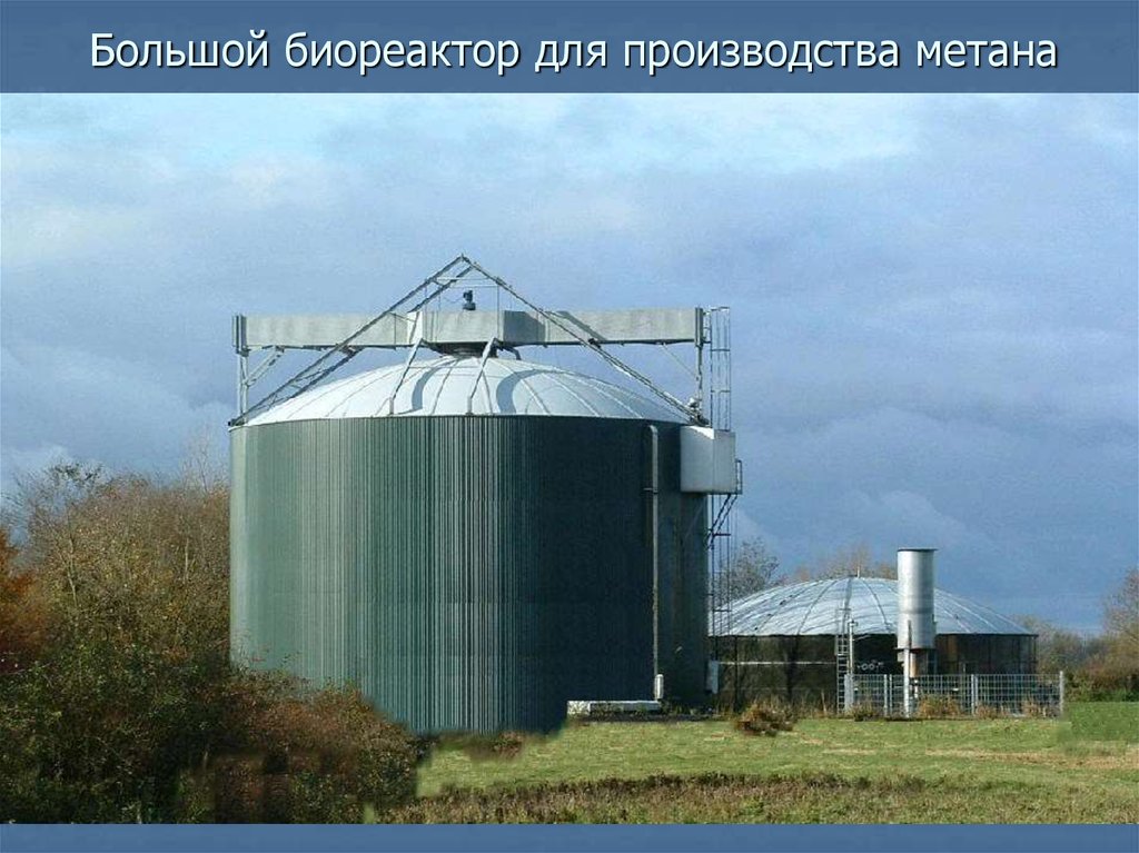 Выработка метана. Биореактор для производства электричества. Биореактор огромный. Биореакторы для отходов. Производство метана.