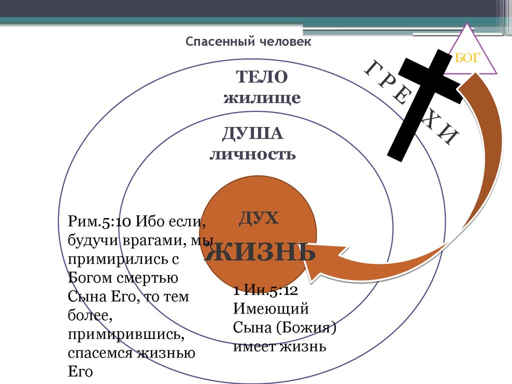 Схема жизни. Душа и личность. Варианты жизни схема. Жизнь это схема жизни человека.