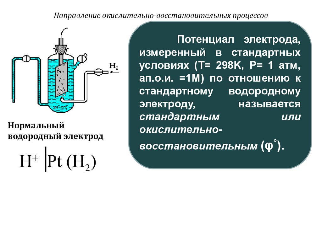 Рисунок водородного электрода