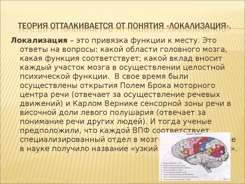 Функциональная локализация. Концепция системной и динамической локализации ВПФ. Локализация высших психических функций. Локализация это простыми словами. Локализация это.