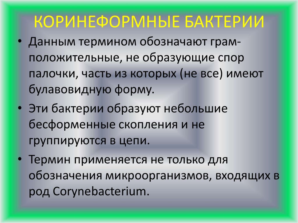 Под данным термином. Кориниморфные бактерии. Коринеформные бактерии. Коринеформные палочки.