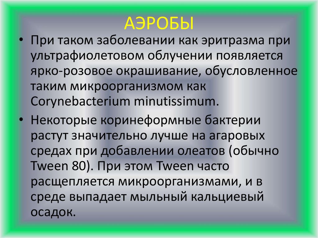 Аэробы. Аэробы микробиология. Аэробы это кратко. Аэробы это в биологии.