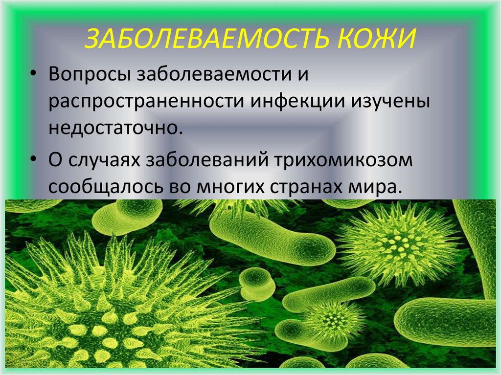 ЗАБОЛЕВАЕМОСТЬ КОЖИ