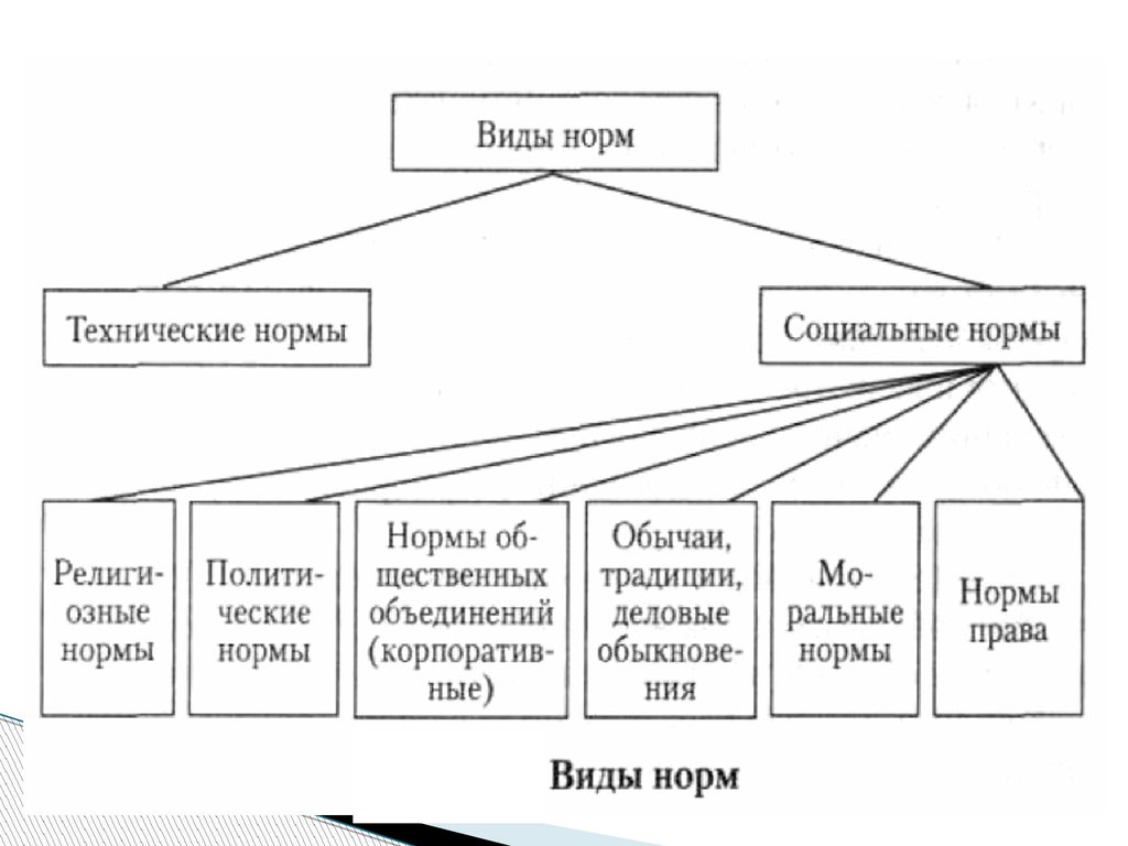 Выберите виды социальных норм. Виды норм. Социальные нормы признаки и виды схема. Схема виды социальных норм и функции. Виды правил норм.