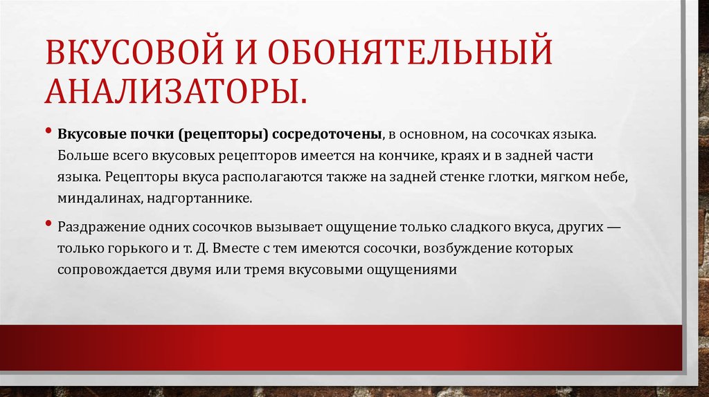 Вкусовой и обонятельный анализаторы.