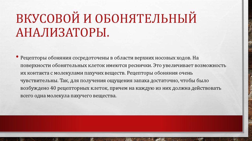 Вкусовой и обонятельный анализаторы.