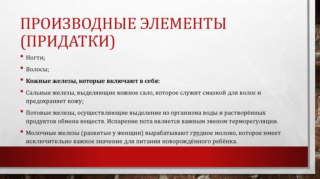 Производные элементы (придатки)