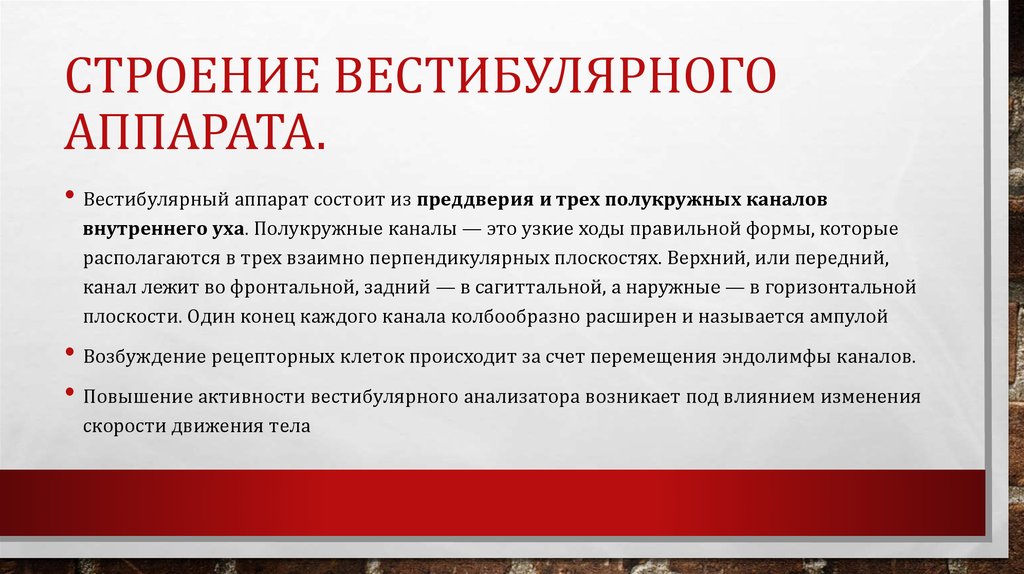 Строение Вестибулярного аппарата.