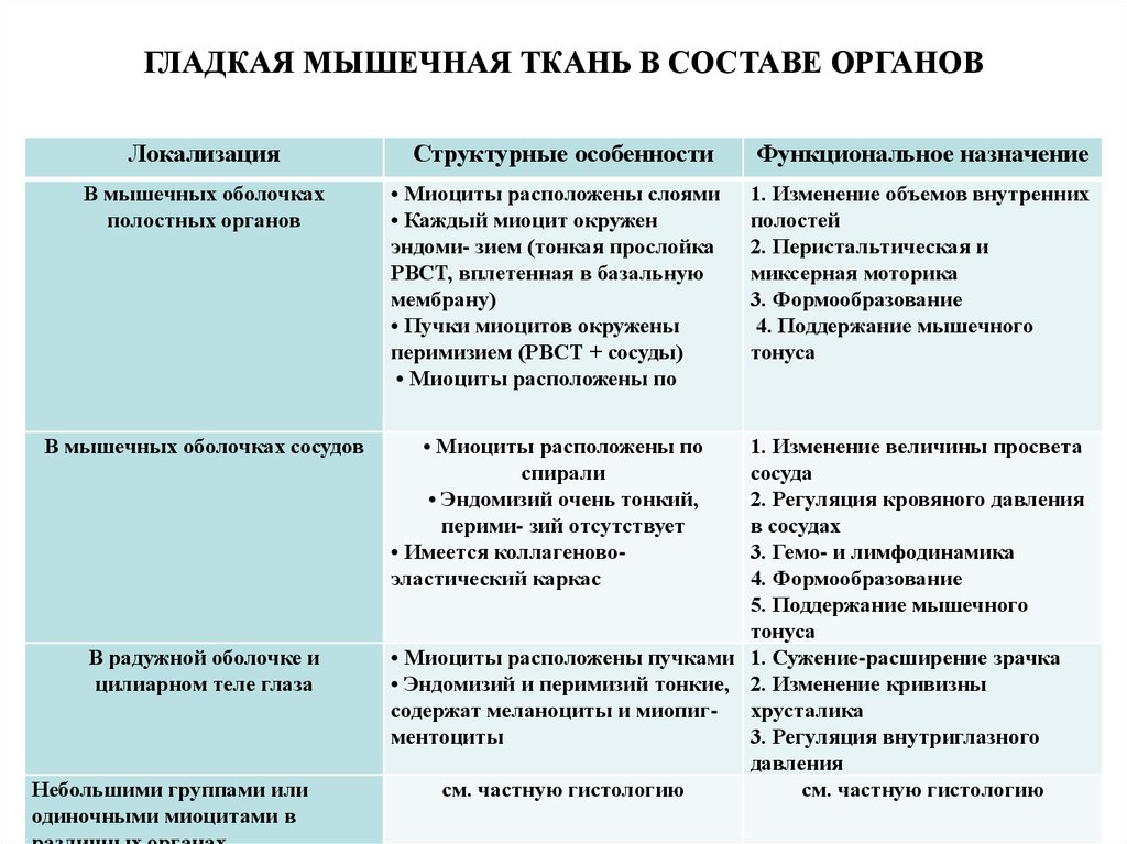 Регуляция тканей. Характер регуляции мышечной ткани. Типы мышечной ткани таблица. Локализация мышечной ткани таблица. Локализация мышечной ткани.