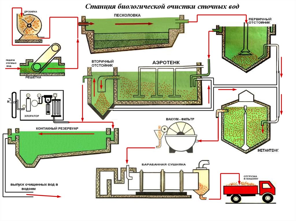 Схема санитарной очистки