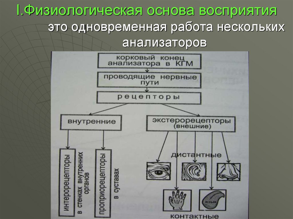 Восприятие и оценка объектов на основе определенных схем