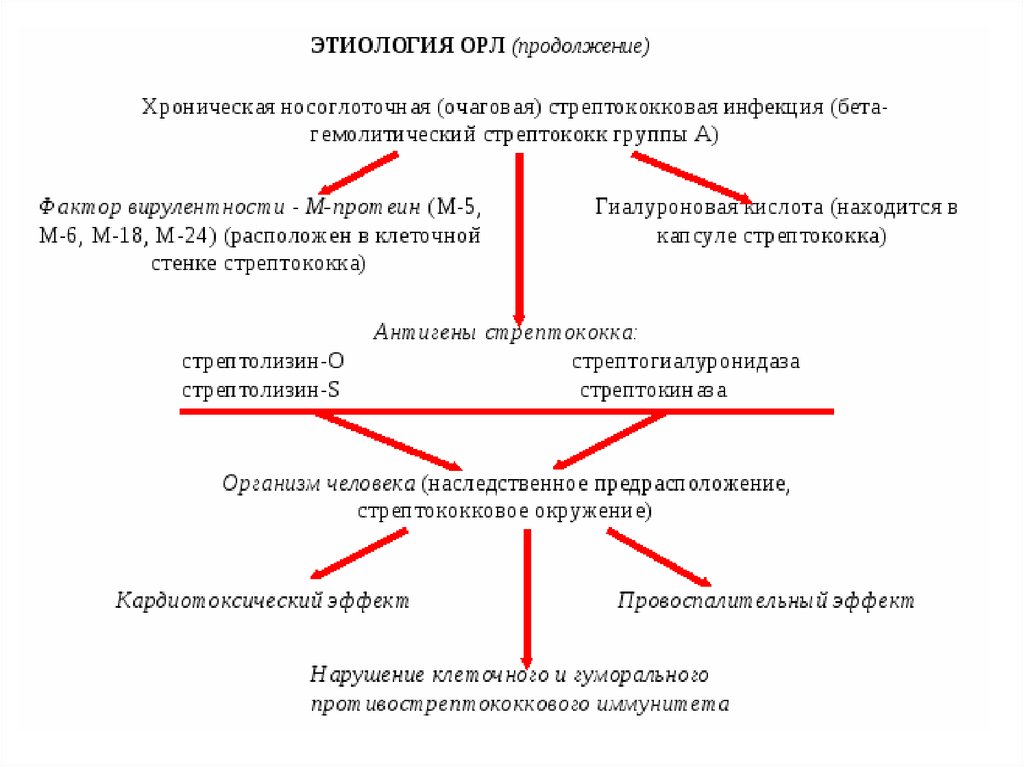 Клиническая картина орл