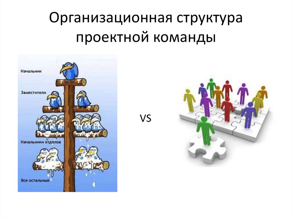 Организационная структура команды проекта в том числе некоторые участники и административно