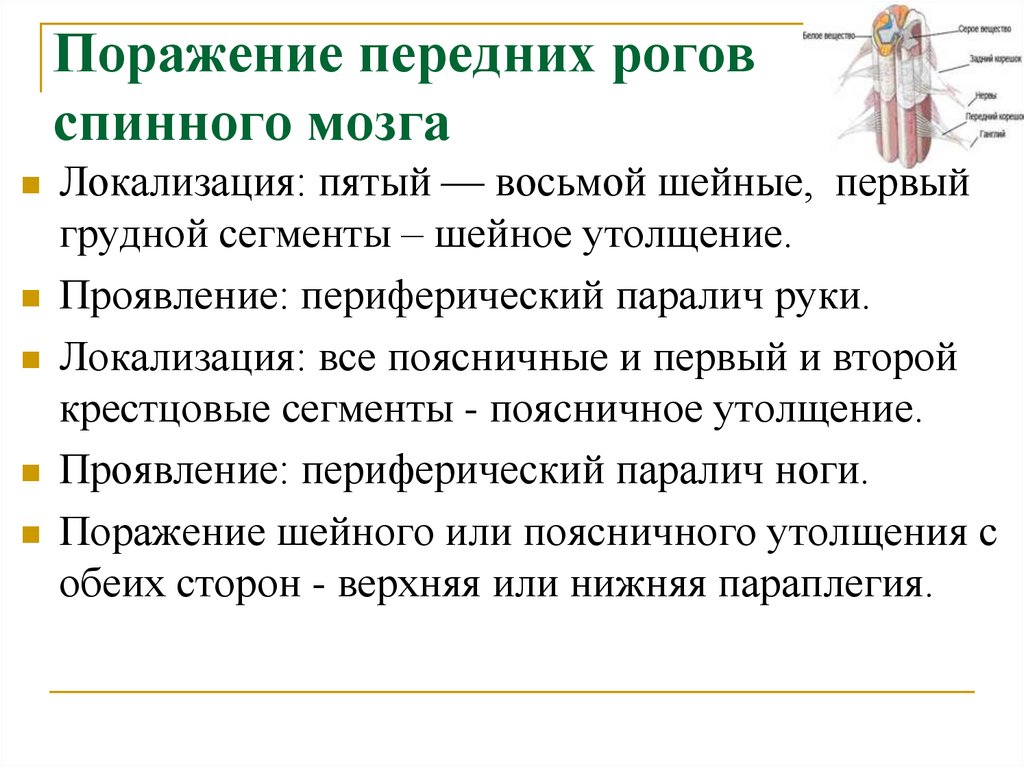 Поражение спинного. Синдром поражения переднего рога спинного мозга. Симптомы поражения передних Рогов спинного мозга. Симптомы поражения передних Рогов шейного утолщения спинного мозга:. Симптомы поражения переднего рога спинного мозга.