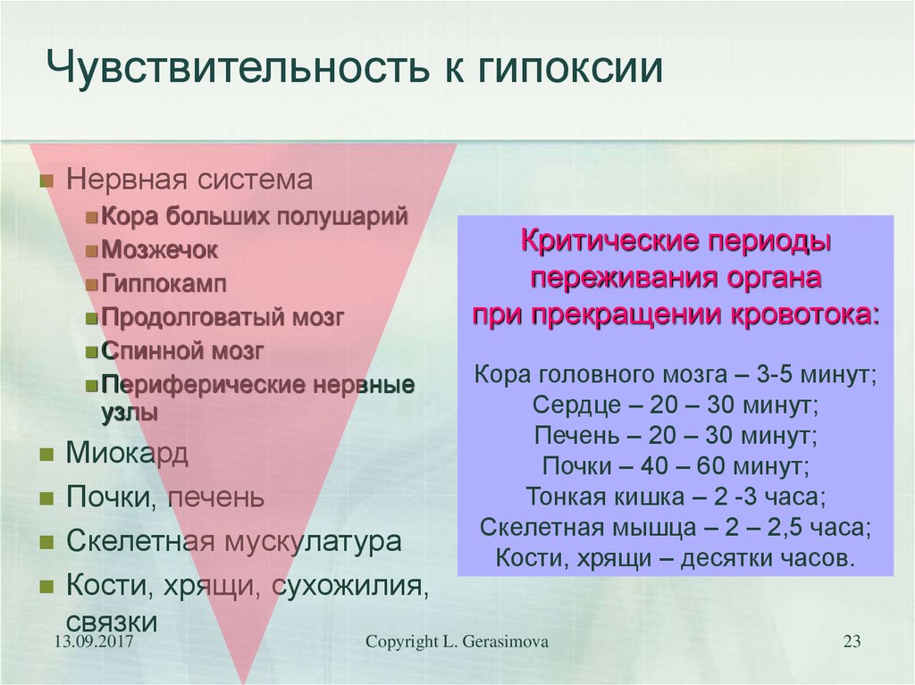 Фактор гипоксии. Чувствительность органов к гипоксии. Чувствительность тканей к гипоксии. Устойчивость различных органов и тканей к гипоксии. Органы наиболее чувствительные к гипоксии.