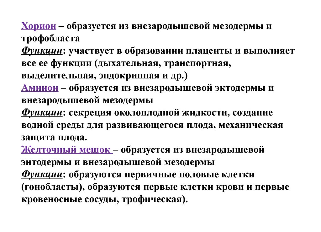 Функции развития человека. Хорион строение и функции. Ворсинки хориона функции. Хорион функции. Хорион функции у человека.