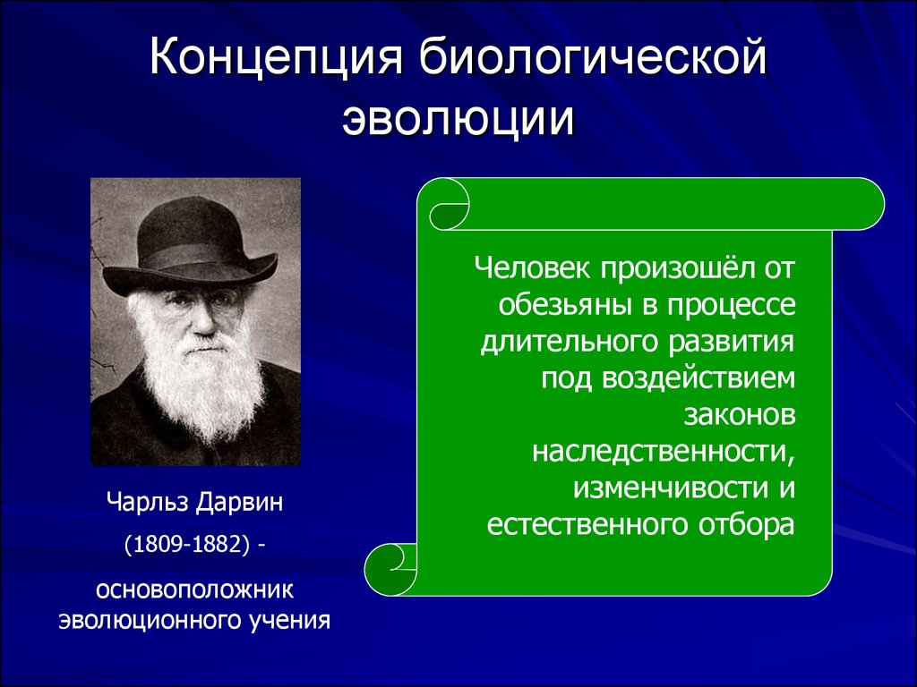 Теория естественного развития. Основоположник теории эволюции. Биологическая теория Дарвина. Эволюционная теория Дарвина.