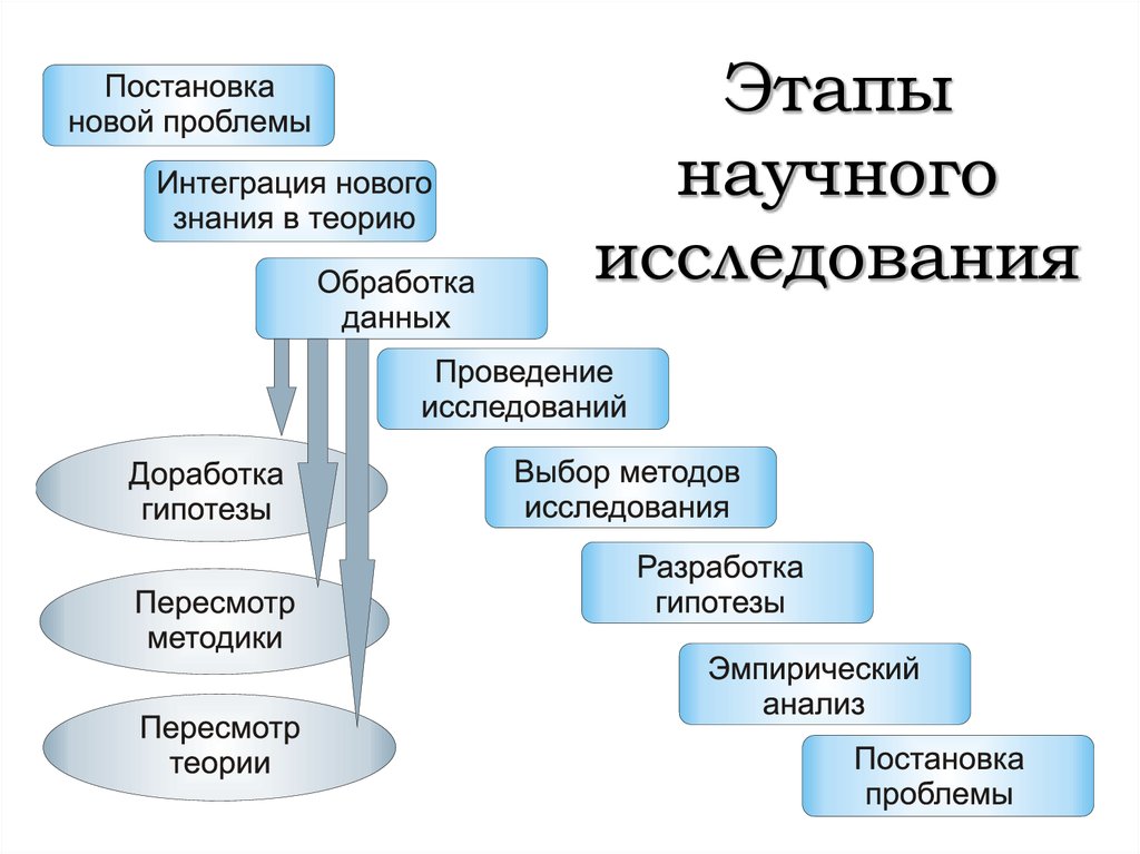 Этапы проведения исследования. Этапы проведения научного исследования. Этапы научного знания. Этапы научного исследования в биологии. Этапы школьного научного исследования.