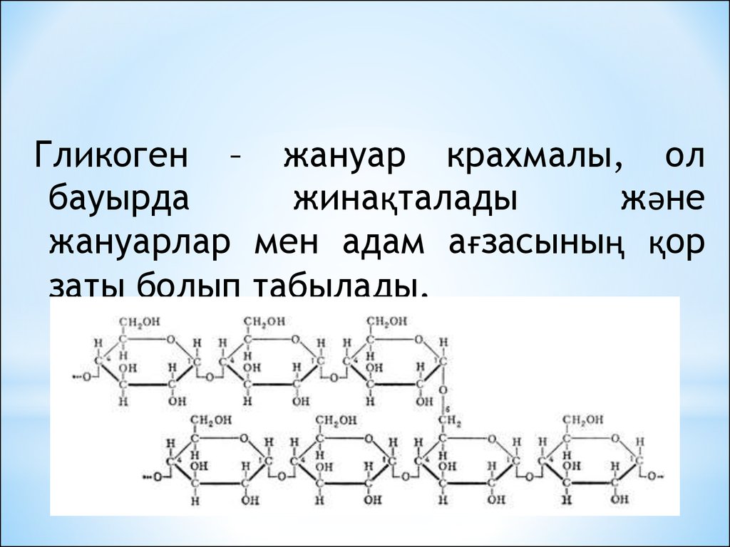 Гликоген. Полисахаридтер қызметі. Полисахаридтер. Гликоген животный крахмал.