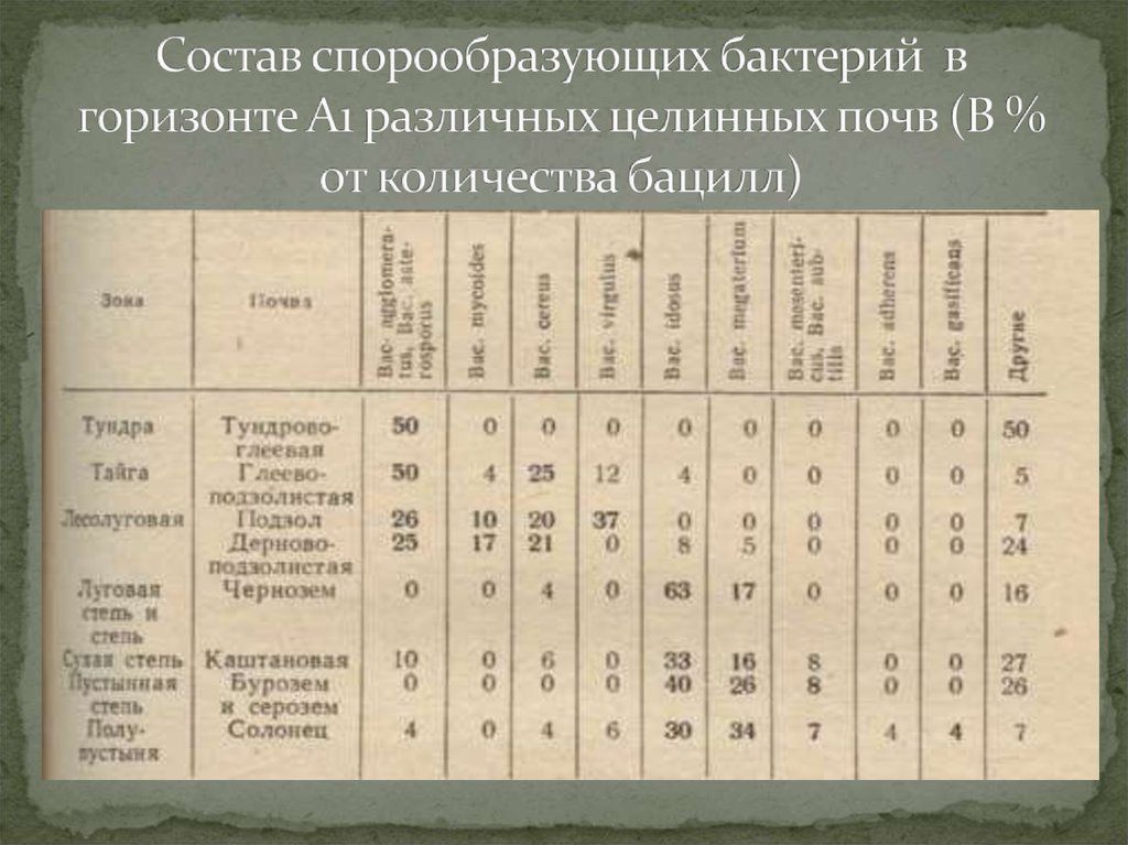 Микрофлора почвы состав. Спорообразующие микроорганизмы в почве. Спорообразующие бактерии почвы. Спороносные бактерии в почве. Спорообразующая почва.