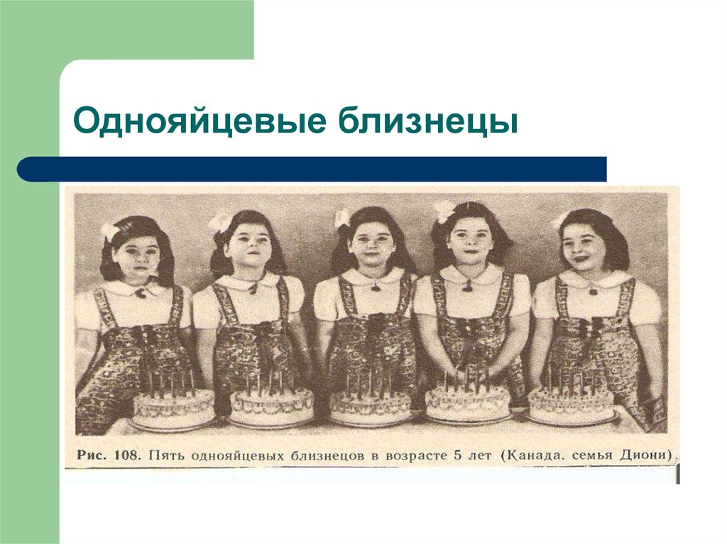 Однояйцевые близнецы