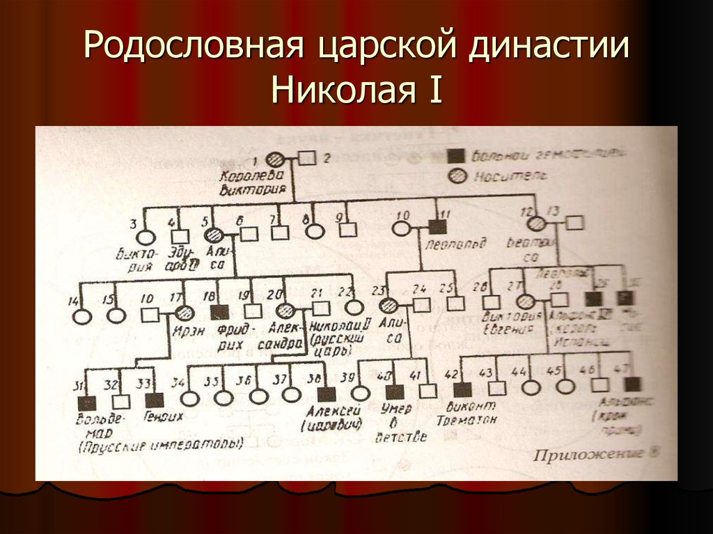 Что такое генеалогическая схема