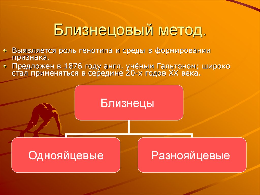 Близнецовый метод генетики презентация